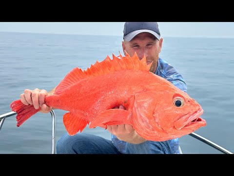 Видео: Морская рыбалка на Камчатке.