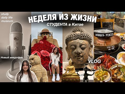 Видео: Учеба в Китае ♡ мороженое с сакурой, микрофон, музей | vlog