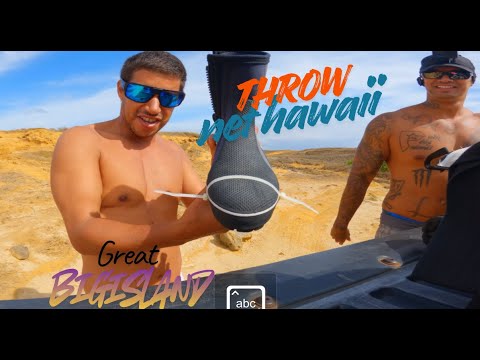 Видео: Bigisland Hawaii 808 рыболовная сеть для мелкой рыбалки