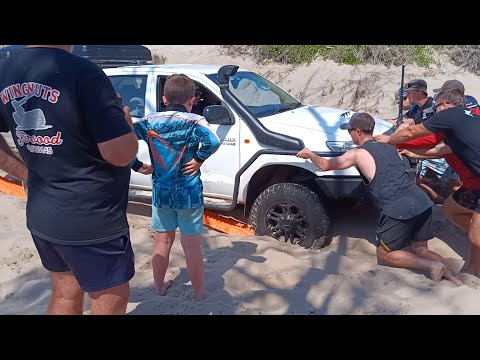 Видео: Зрелищный спорт здесь, в Саут-Рокс (Нгкала), Роки-Бич, остров Фрейзер.