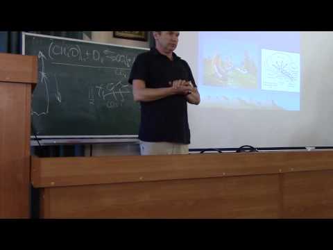 Видео: Минвалеев Р. С. Физиология медитации. Ч. 2. Семинар ЦИЭМ 10.06.15.