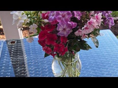 Видео: Ну вот и наступила осень и еще не много красоты🌹🌺🌻🌼🌷😊