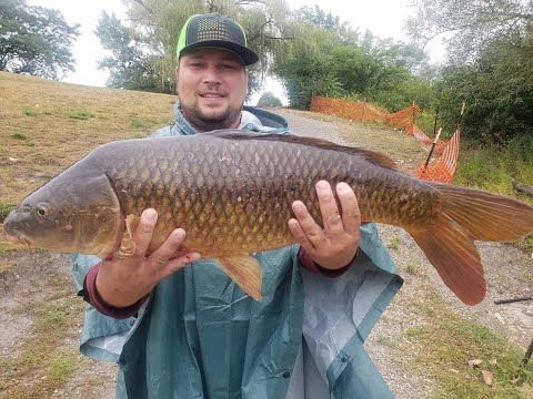 Видео: РЕКА ЧИКАГО / РЫБАЛКА НА БОЛЬШОЙ КАРП »»» GIANT CARP FISHING , CHICAGO RIVER.