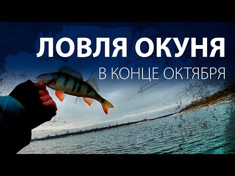 Видео: ЛОВЛЯ ОКУНЯ В КОНЦЕ ОКТЯБРЯ