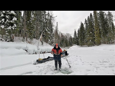 Видео: На лесную речку с Григоричем \ В поисках ХАРИУСА \ Часть 3 \ Рыбалка трудовая, но она прекрасна !