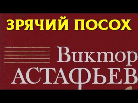 Видео: Виктор Астафьев. Зрячий посох