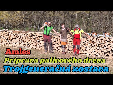 Видео: Заготовка дров, Комплект Три поколения, отец, сын и внук, Штиль мс 462, Амлес, Лада Нива