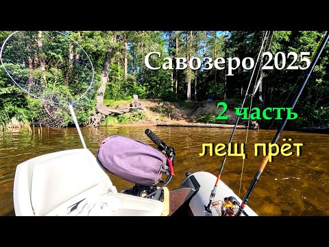 Видео: #2 Савозеро 2025 / 2 часть / за лещом и щукой на 5 дней в июле