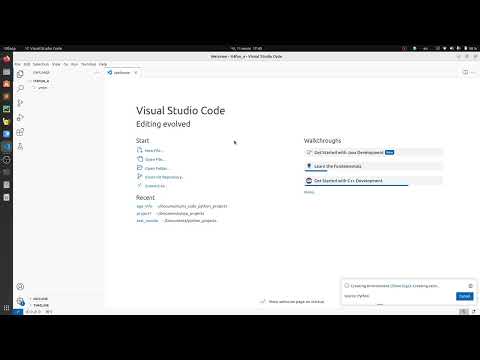 Видео: Создание виртуальной среды в vscode. Александр Килинкаров