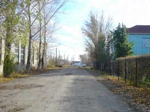 Видео: Шортанды