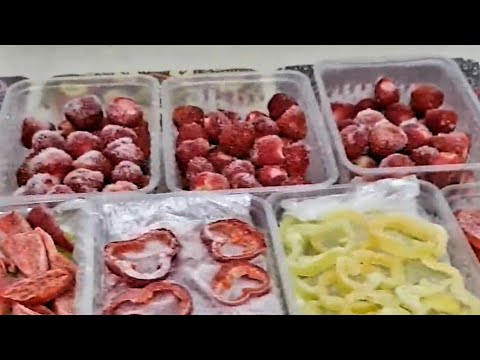 Видео: Заморозка на зиму / Көкөніс-жемістерді қысқа сақтау әдісі #Әлия_әлемі_qazaqstan