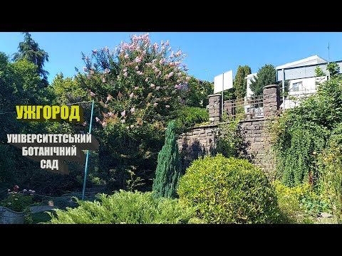 Видео: Ботанический сад ужгородского университета