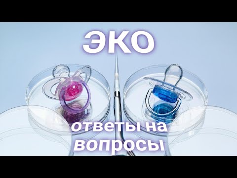 Видео: ЭНЕРГОИНФОРМАЦИОННЫЙ ГИПНОЗ. ЭКО в нашей жизни.