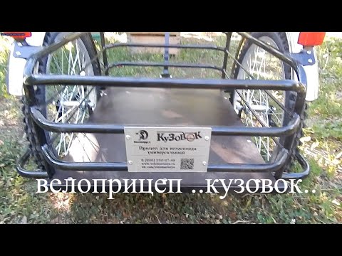 Видео: купил вело-прицеп КУЗОВОК #bought a bike trailer