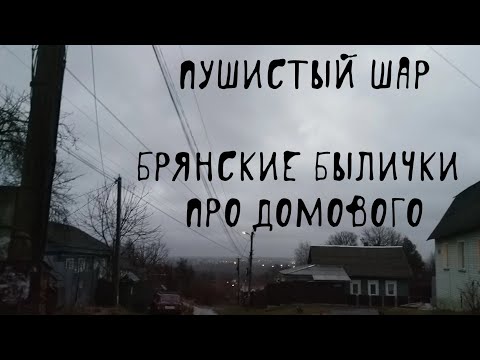 Видео: 🏚 На кого похож домовой | Домовые | В. Д. Глебов | Брянские былички | 76–85