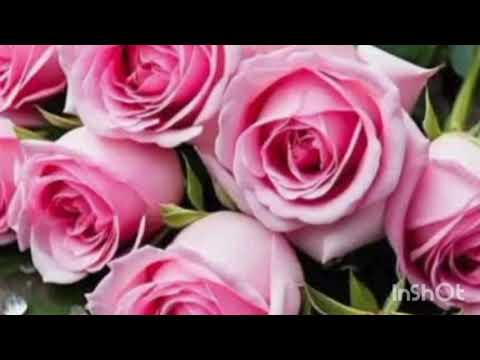 Видео: Милая моя ( кавер )