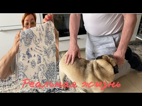 Видео: МИХАЛЫЧ С УТРА ИЩЕТ СЕБЕ РАБОТУ!