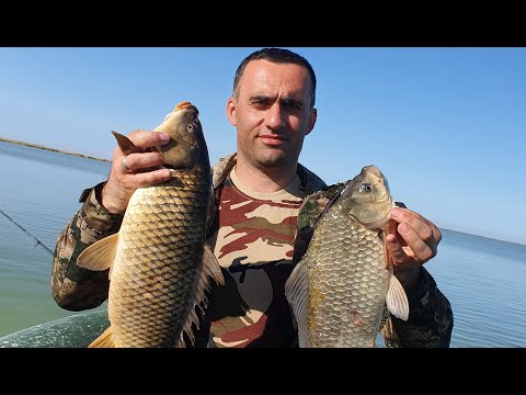 Видео: Рыбалка в Калмыкии.