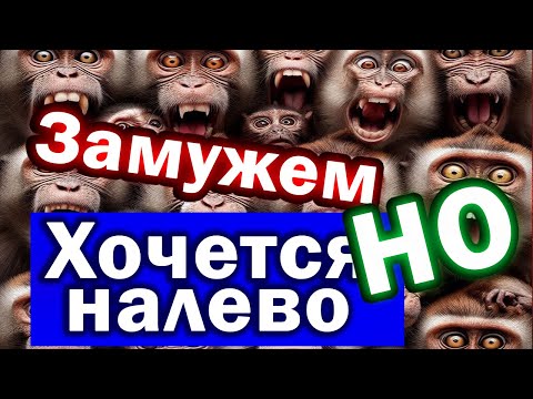 Видео: 11 Остервенелых макак выдают дичь