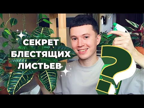 Видео: Как и Чем мыть Комнатные Растения? » Душ для Растений