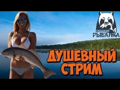 Видео: Ловим рыбу и общаемся в рр4, Стрим!