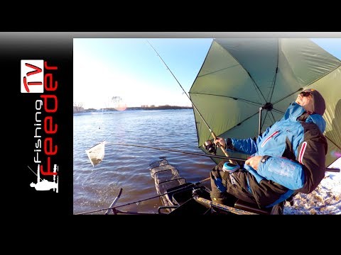 Видео: ☑️Vlog #27 Рыбалка на фидер зимой. Ловля леща в начале зимы. Feederfishing.tv