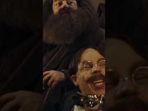 Видео: Ты настоящий поттерман, если ответишь на эти вопросы! #harrypottermusic #harrypotter #гаррипоттер