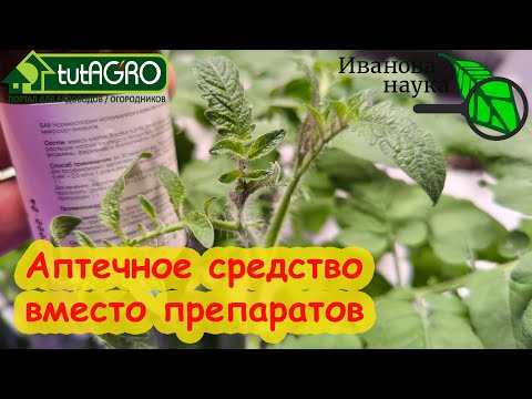 Видео: ФИТОСПОРИН ИЗ АПТЕКИ: уникальные средства от всех болезней: человека, животных и растений.