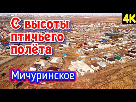 Видео: Мичуринское. С высоты птичьего полёта. 4K. 17 октября 2024 г.