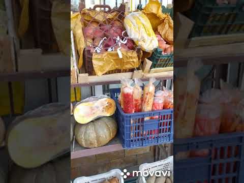 Видео: Янгиюль,  пешком от Сахарного до Персидского!