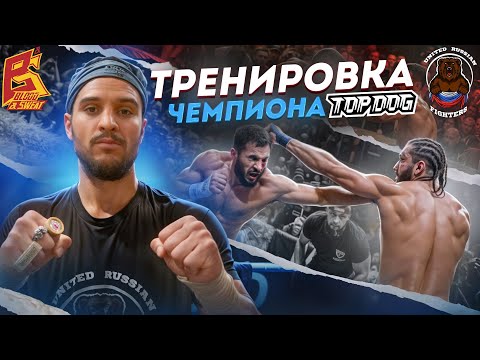 Видео: Техника чемпиона Top Dog: Наим "Самурай" Давудов – как победил "Кратоса" и нокаутировал "Доктора"