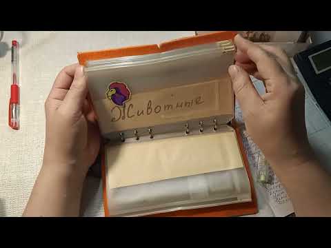 Видео: Распределение денег по конвертам. Возвращаюсь в систему. 38300 руб.