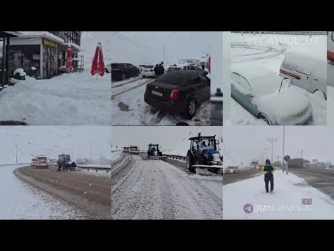 Видео: ДАХШАТ ХАММА ОГОХЛАНТИРИЛДИ. БУГУН ҚОР ТИНМАЙДИ