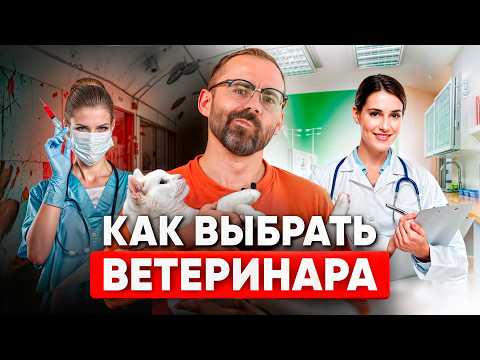 Видео: Важнейшие критерии выбора ветеринара, о которых вам НУЖНО знать!