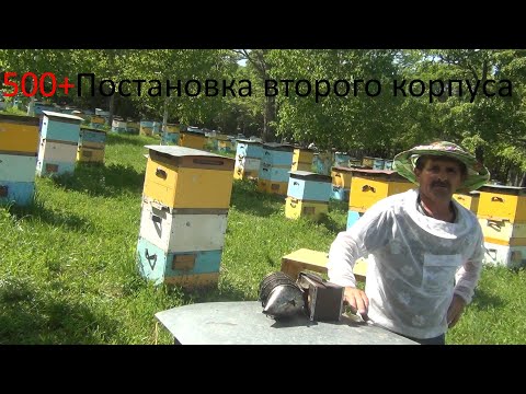 Видео: 500+ Постановка второго корпуса.