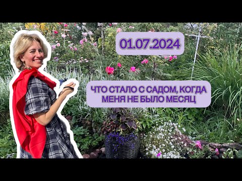 Видео: САД МЕСЯЦ БЕЗ ХОЗЯЙКИ/СЧИТАЮ ПОТЕРИ/ВЫБИРАЮ ЛЮБИМЧИКОВ