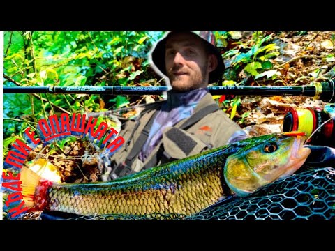 Видео: Улових изгризана риба! Риболов на кефал по р.ТУНДЖА, непоносима жега и бърза вода.