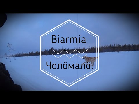 Видео: Охота на гуся весной 2023 года в республике Коми.