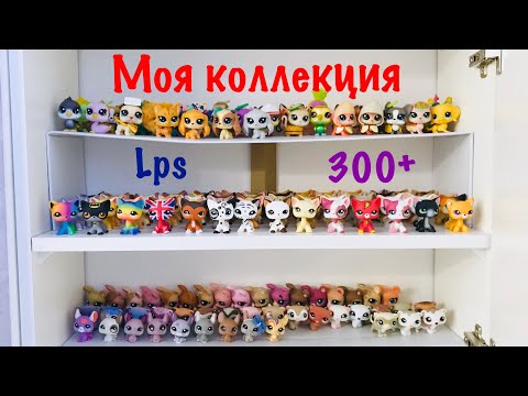 Видео: LPS: МОЯ КОЛЛЕКЦИЯ LITTLEST PET SHOP