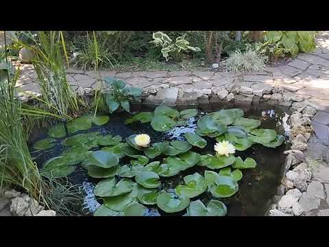 Видео: Я календарь переверну и снова третье сентября... 🤣🤣🤣