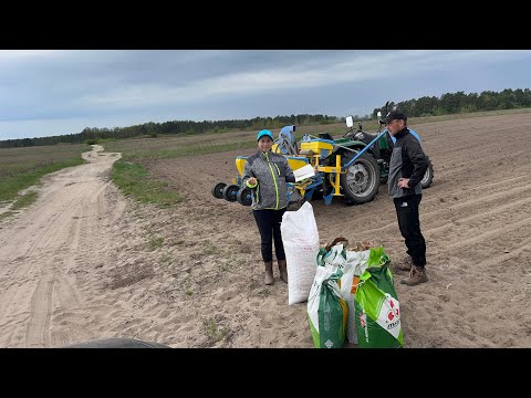 Видео: Культивація!!! Посів кукурудзи сівалкою УПС-4! Гібриди на демо!