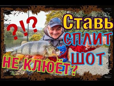 Видео: НЕ КЛЮЕТ - Ставь СПЛИТ ШОТ! Оружие от бесклевья! НАЛОВИЛ много ОКУНЯ осенью!