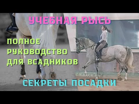 Видео: УЧЕБНАЯ РЫСЬ, СЕКРЕТЫ ПОСАДКИ для всадников