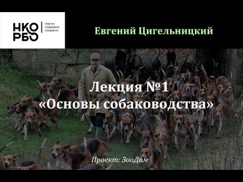 Видео: Лекция №1 - Основы собаководства (Цигельницкий Евгений)