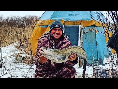 Видео: ТРИ НОЧИ ОДИН В ЮРТЕ ,ВОТ ЭТО РЫБАЛКА ВОТ ЭТО ЗАКРЫТИЕ!!!