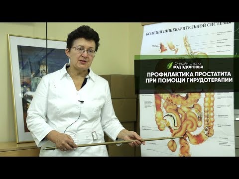 Видео: Профилактика простатита, при помощи гирудотерапии.