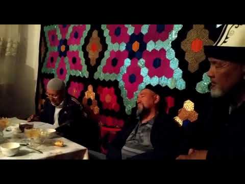 Видео: Тогуз-Торо. Санжыра тактоо...