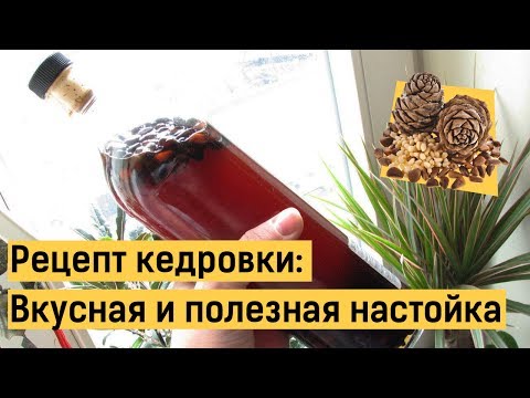 Видео: Кедровка: делаем вкусную и полезную настойку быстро!