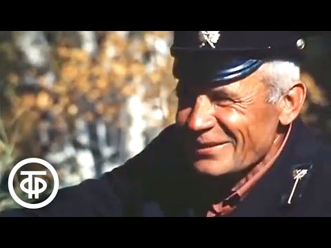 Видео: Энциклопедия "По Советскому Союзу". Лес (1985)
