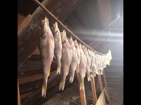 Видео: Таранка из окуня, окунь в разрезе, смотрите до конца)))#рыбалка